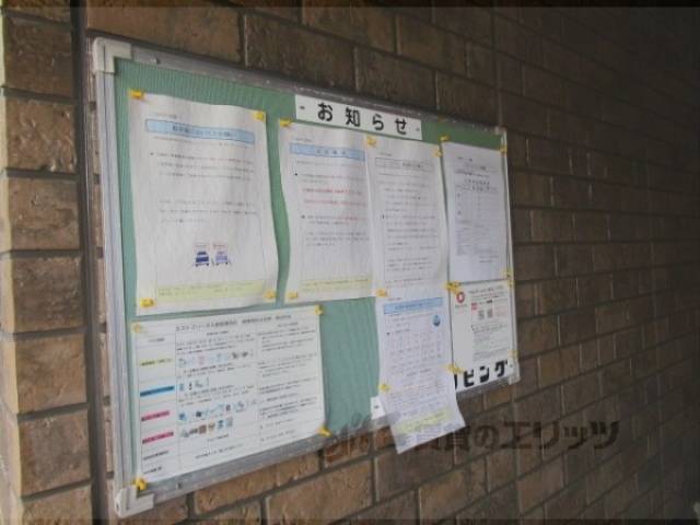 掲示板
