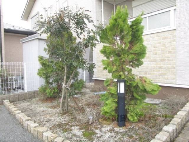 植栽