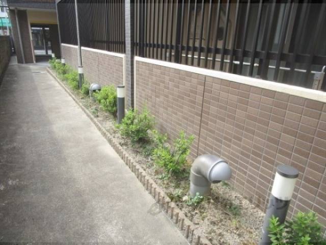 植栽