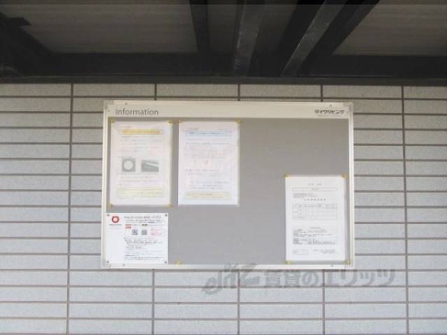 掲示板