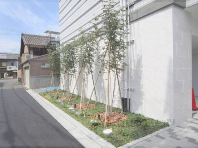 植栽