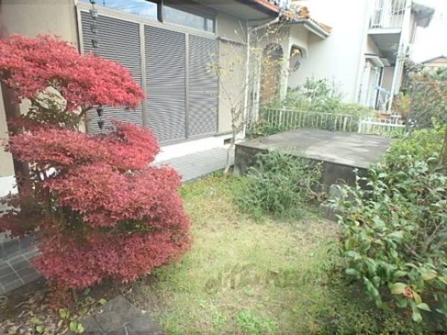 植栽