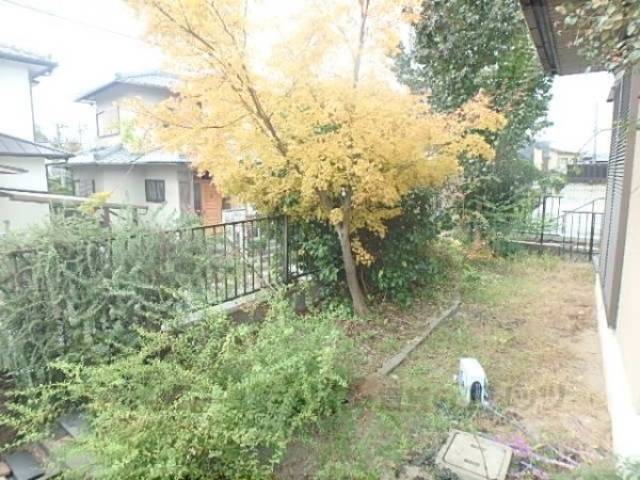 植栽