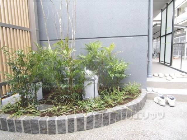 植栽