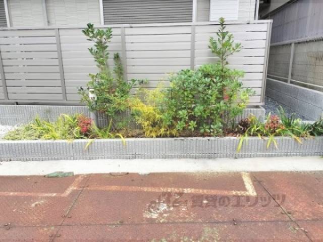 植栽