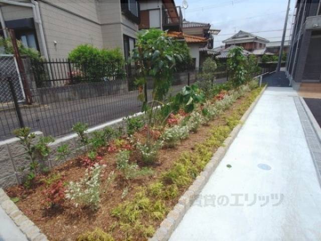植栽