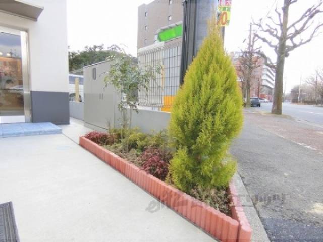 植栽