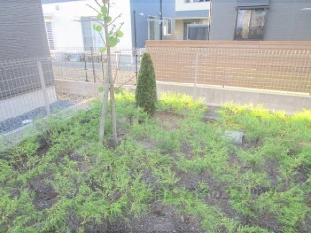 植栽