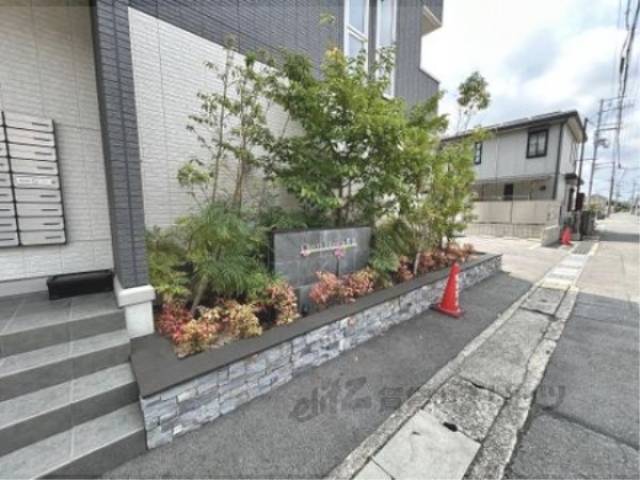 植栽