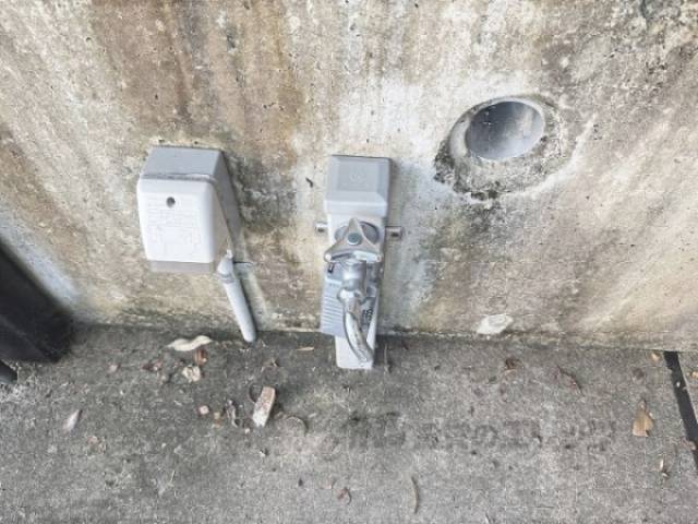 蛇口