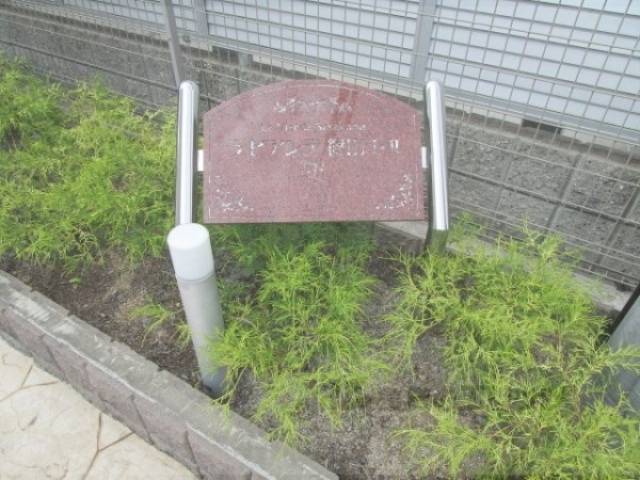 植栽