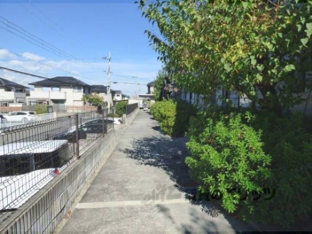 通路