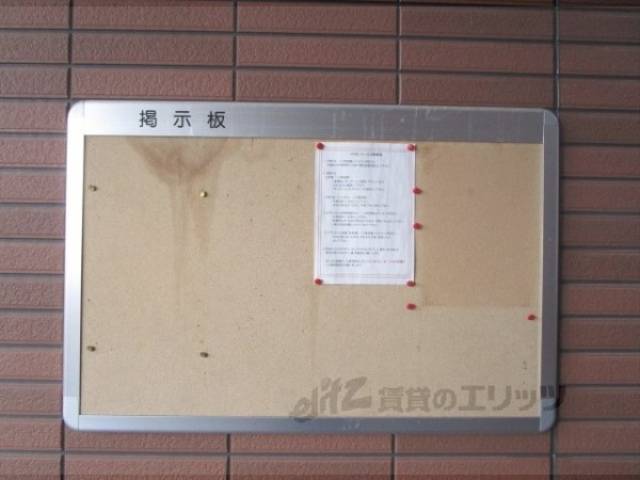 掲示板