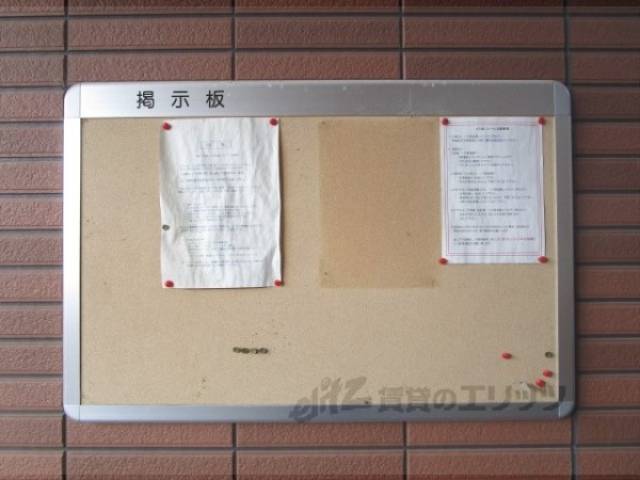 掲示板