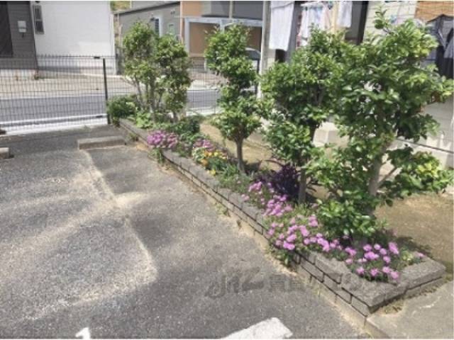 植栽