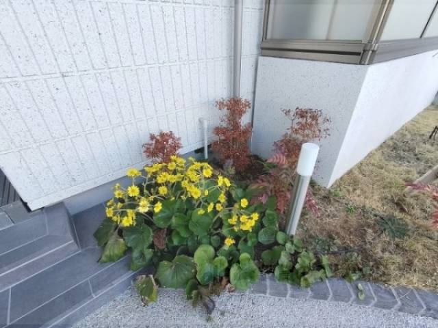 植栽