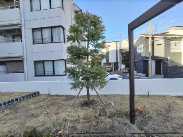 植栽