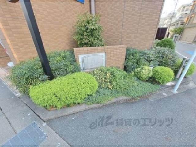 植栽