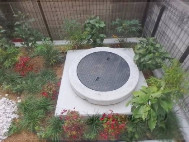 植栽