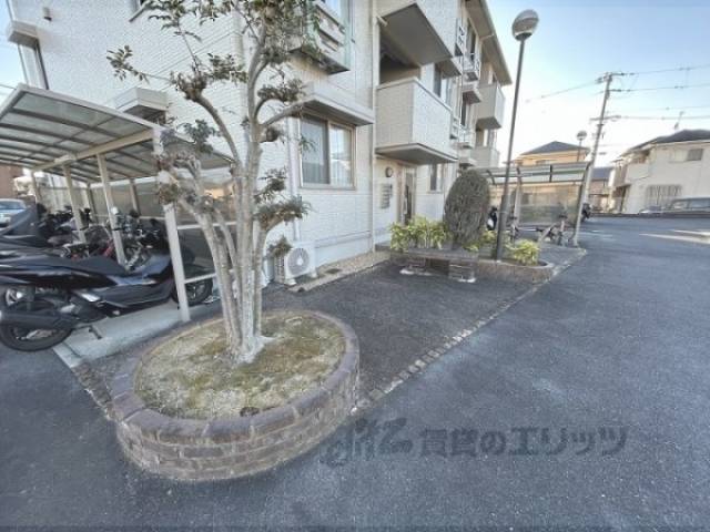 植栽