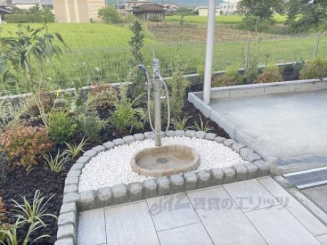 水洗い場