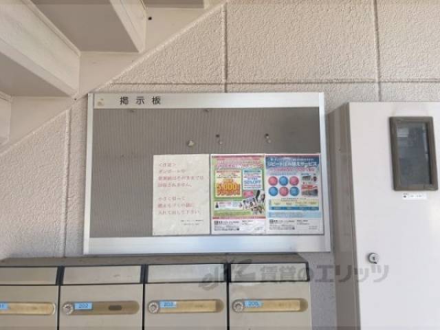 掲示板