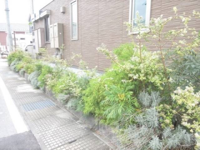 植栽