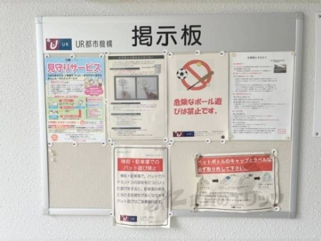 掲示板