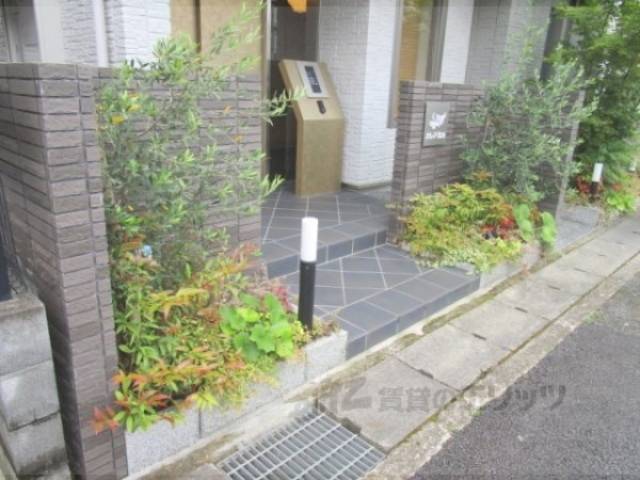 植栽