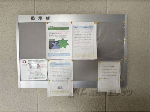 掲示板