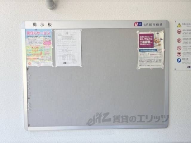 掲示板