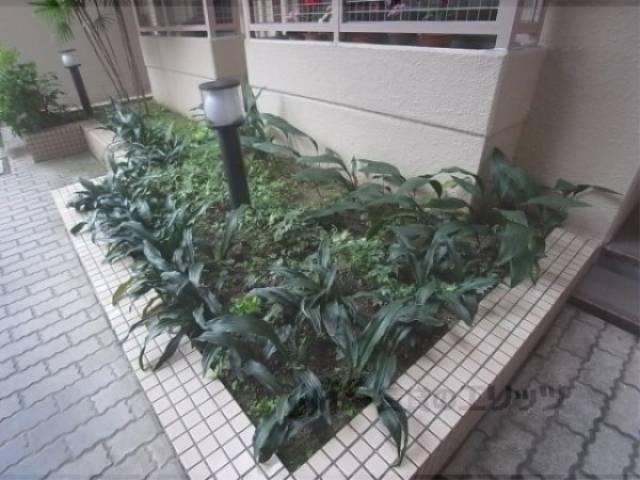 植栽