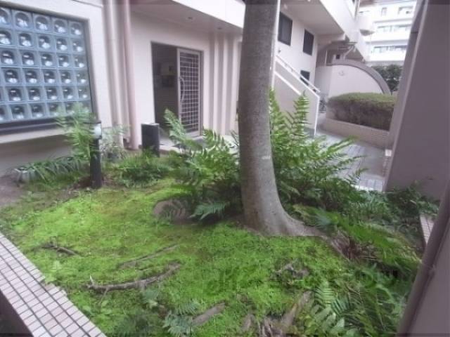 植栽