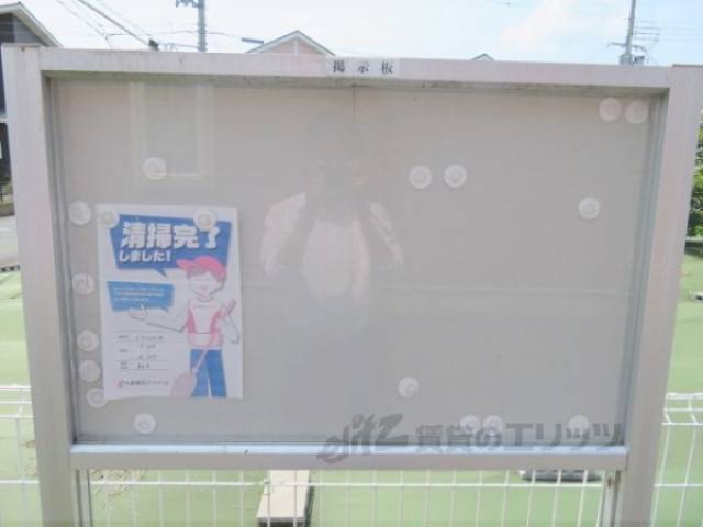 掲示板
