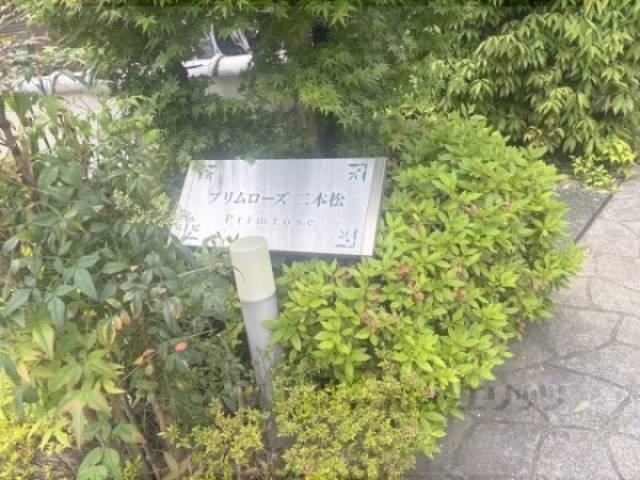 植栽