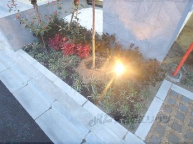 植栽
