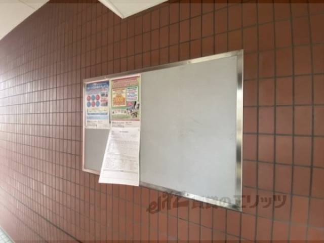 掲示板
