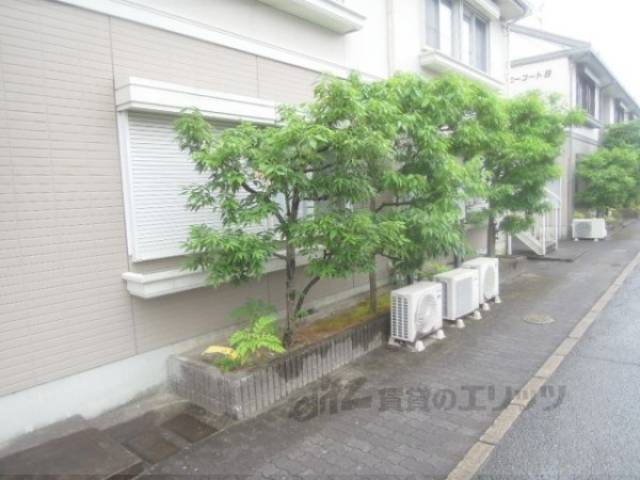 植栽