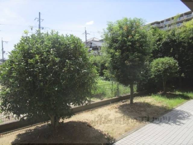 植栽