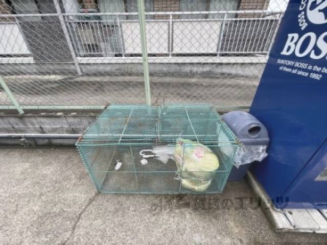 ゴミ置き場