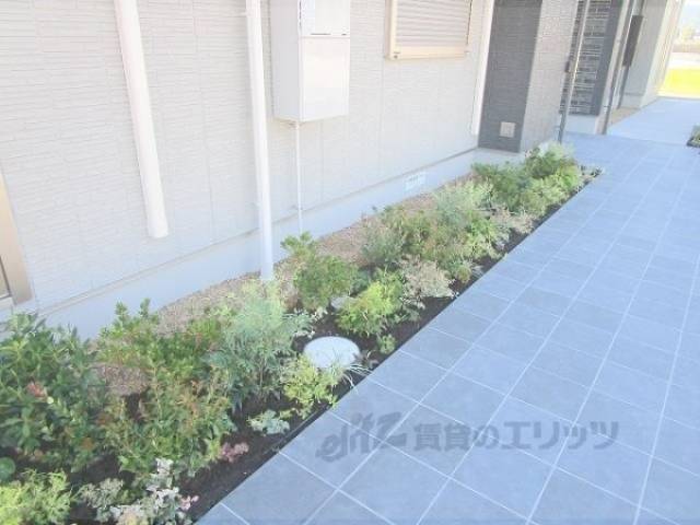 植栽