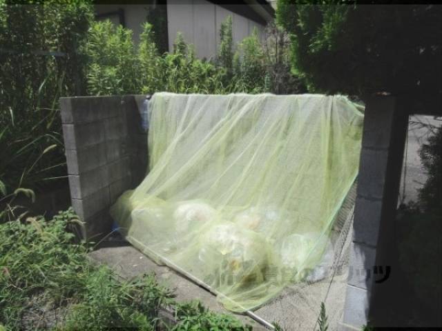 ゴミ置き場