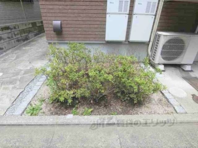 植栽