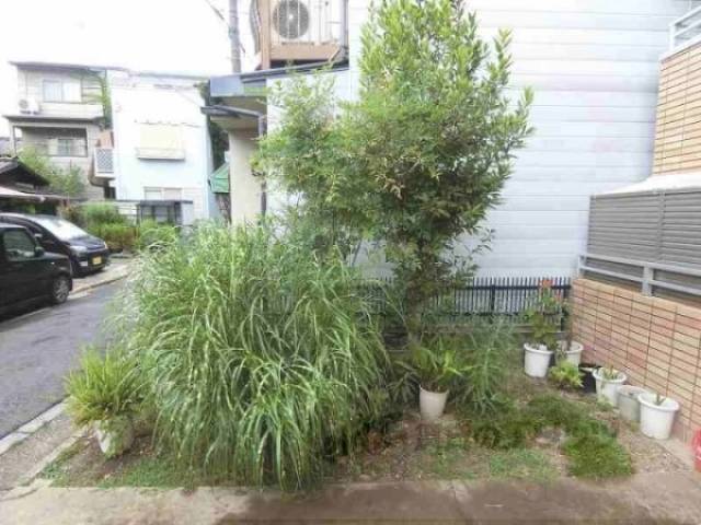 植栽