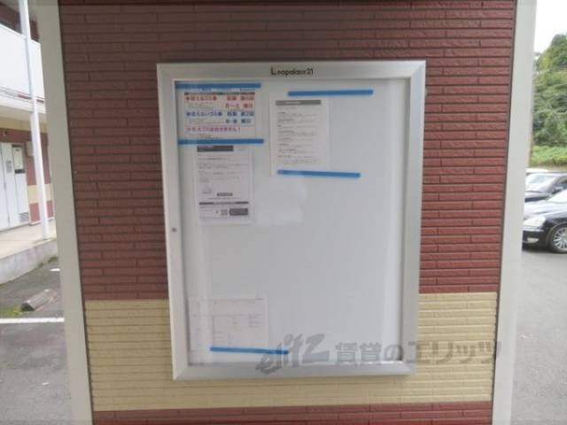 掲示板