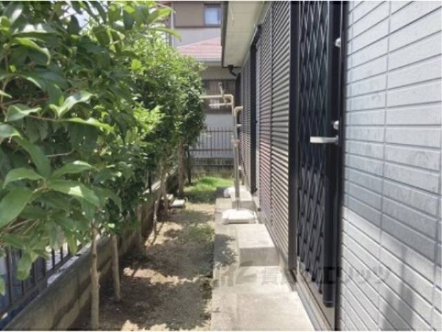 植栽