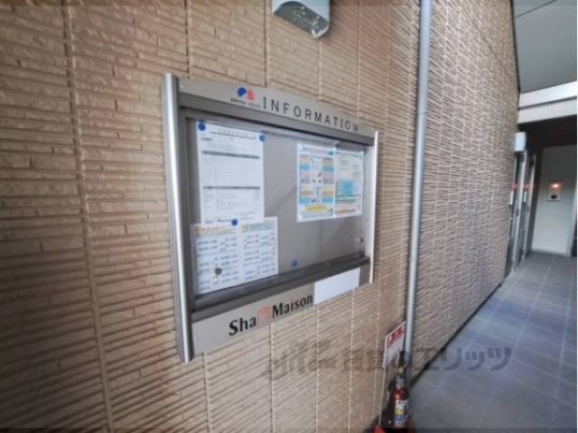 掲示板