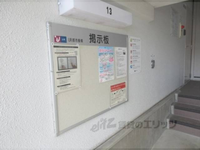 掲示板