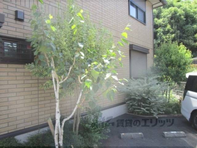 植栽