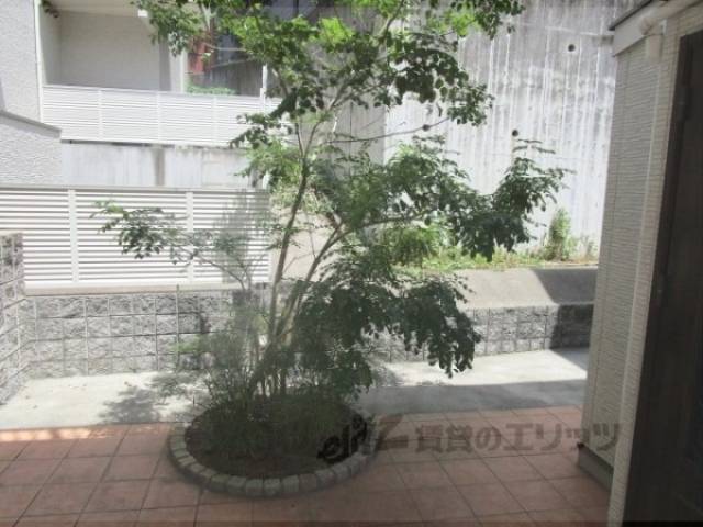 植栽